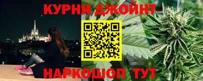 сатива Гатчина