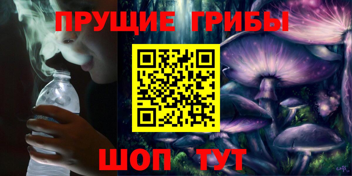 Нурлат  Псилоцибиновые грибы Psilocybe  Галлюциногенные грибы Psilocybine cubensis  Вход с VPN 
