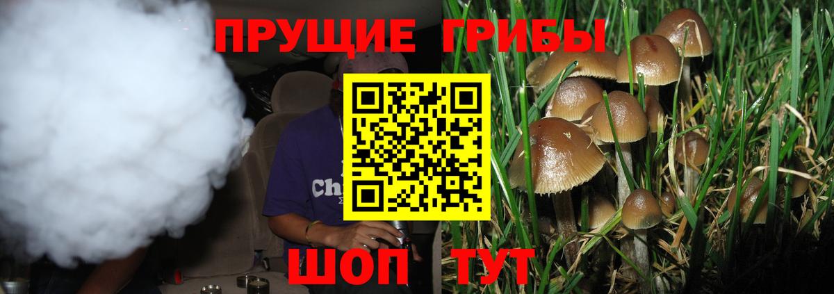 Галлюциногенные грибы GOLDEN TEACHER Нурлат